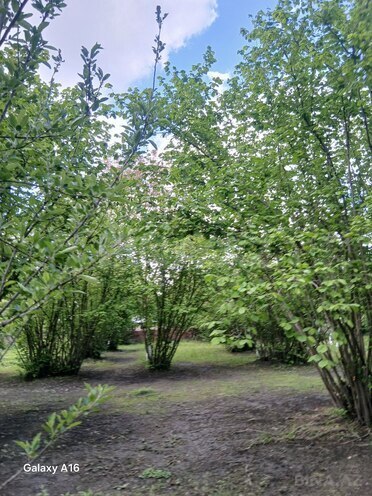 Продаётся  участок 10 сот, photo 6 from 11