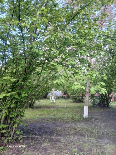 Продаётся  участок 10 сот, photo 1 from 11