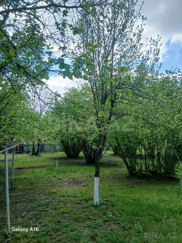 Продаётся  участок 10 сот, photo 8 from 11