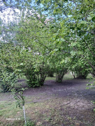 Продаётся  участок 10 сот, photo 4 from 11