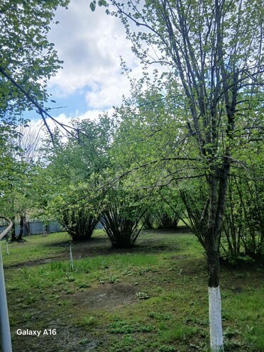 Продаётся  участок 10 сот, photo 7 from 11