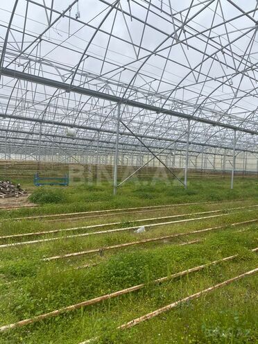 Продаётся  объект 74 000 м², пос. Зире, photo 8 from 11