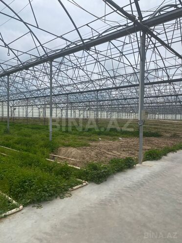 Продаётся  объект 74 000 м², пос. Зире, photo 5 from 11