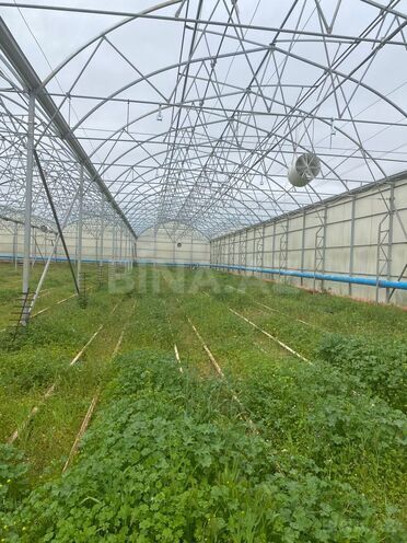 Продаётся  объект 74 000 м², пос. Зире, photo 6 from 11