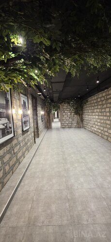 Сдаётся  объект 424 м², м. Сахил, photo 5 from 9