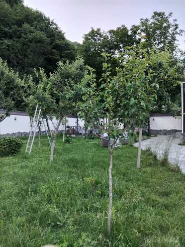 Сдаётся 4-комн. дом/дача 90 м², photo 5 from 32