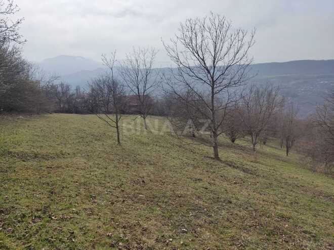 Satılır  torpaq 28 sot, photo 3 from 11