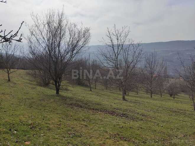 Satılır  torpaq 28 sot, photo 4 from 11