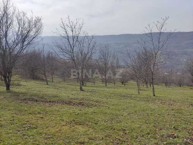 Satılır  torpaq 28 sot, photo 7 from 11