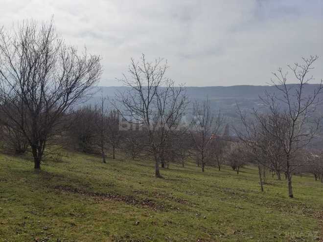 Satılır  torpaq 28 sot, photo 10 from 11