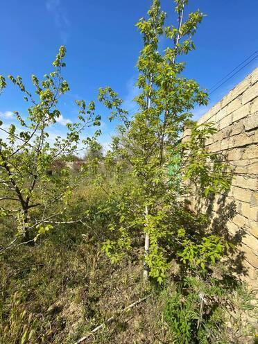 Продаётся  участок 26 сот, пос. Новханы, photo 6 from 21