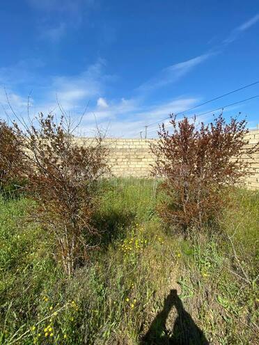 Продаётся  участок 26 сот, пос. Новханы, photo 15 from 21