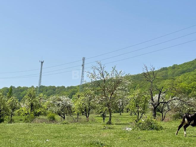 Продаётся  участок 100 сот, photo 3 from 5
