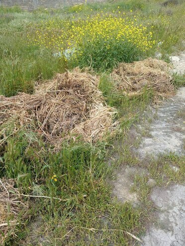 Продаётся  участок 6 сот, пос. Бадамдар, photo 7 from 9