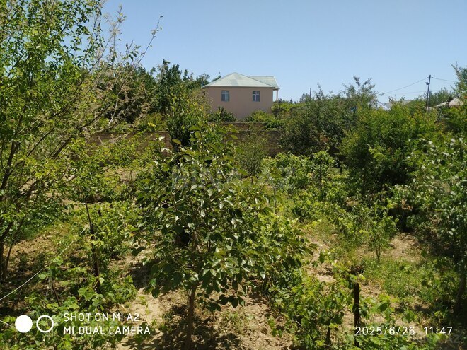 Продаётся 3-комн. дом/дача 100 м², photo 18 from 20
