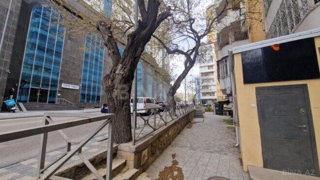 Сдаётся  объект 220 м², м. Низами, photo 20 from 22