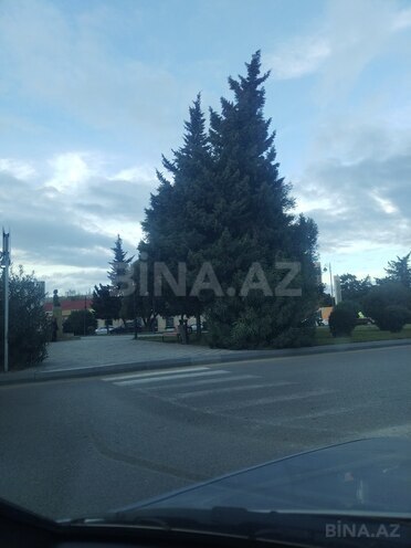 Продаётся  участок 2.4 сот, пос. Амирджаны, photo 7 from 10