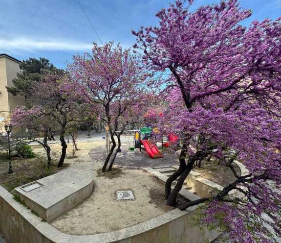 Satılır 3 otaqlı köhnə tikili 85 m², Səbail r., photo 12 from 15