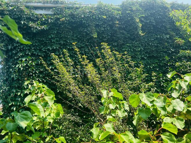 Продаётся 8-комн. дом/дача 200 м², пос. Новханы, photo 13 from 32