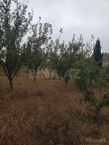 Продаётся  участок 30 сот, photo 7 from 21