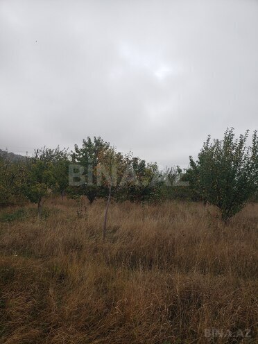 Продаётся  участок 30 сот, photo 17 from 21