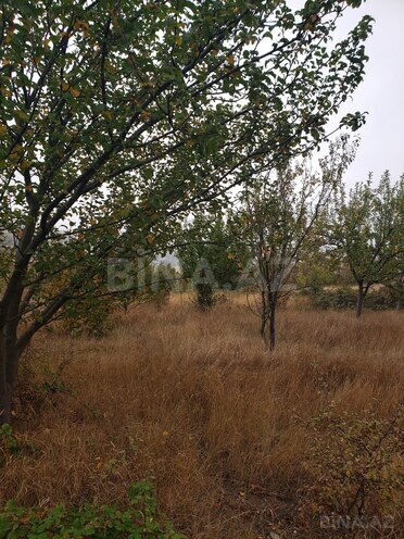 Продаётся  участок 30 сот, photo 20 from 21