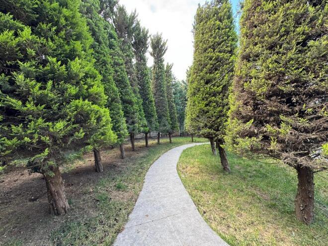 Satılır 12 otaqlı həyət evi/bağ evi 1 290 m², Masazır q., photo 17 from 19
