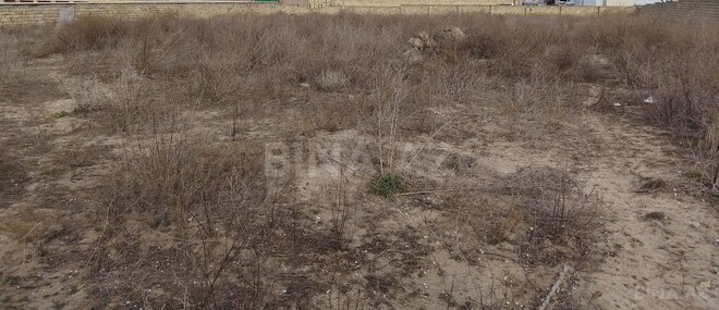 Продаётся  участок 24 сот, пос. Нардаран, photo 4 from 8
