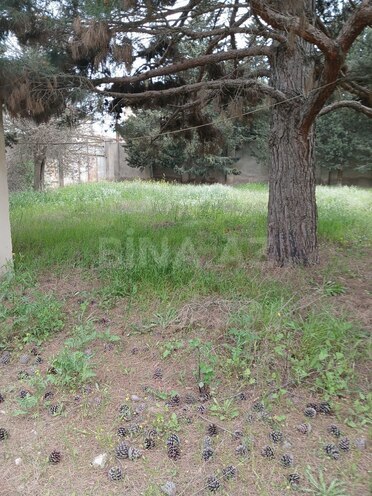 Продаётся  участок 5 сот, пос. Бадамдар, photo 3 from 6