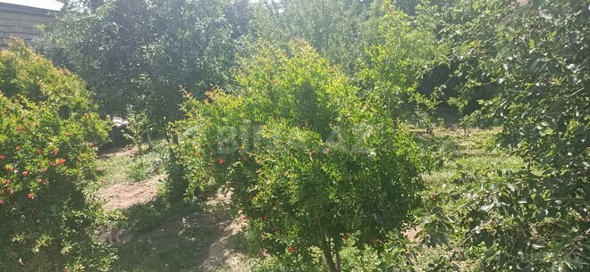 Продаётся 5-комн. дом/дача 120 м², пос. Дигях, photo 4 from 23