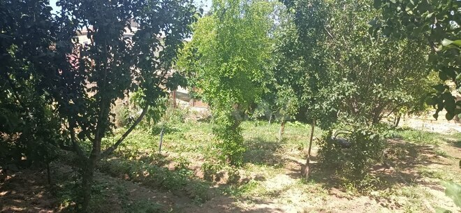 Продаётся 5-комн. дом/дача 120 м², пос. Дигях, photo 10 from 23