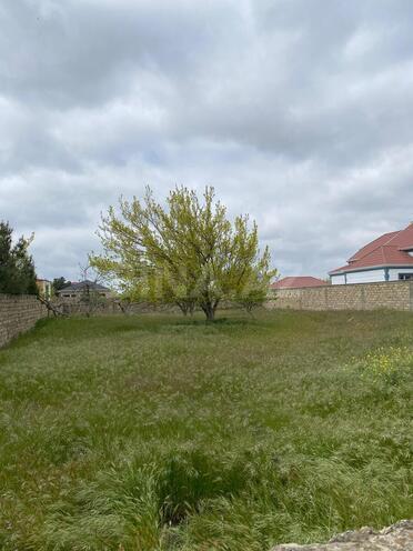 Продаётся  участок 12 сот, пос. Нардаран, photo 3 from 6