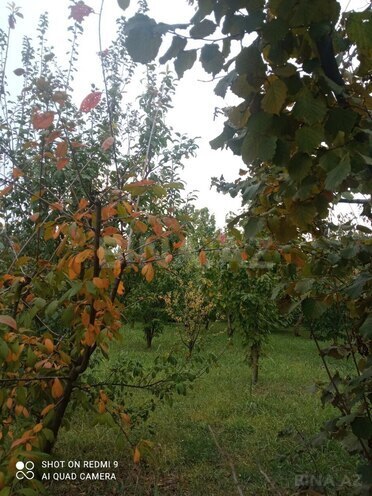 Продаётся  участок 8 сот, photo 5 from 11