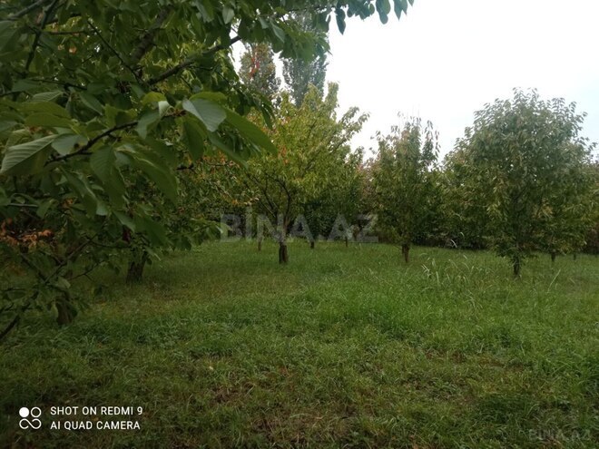 Продаётся  участок 8 сот, photo 10 from 11