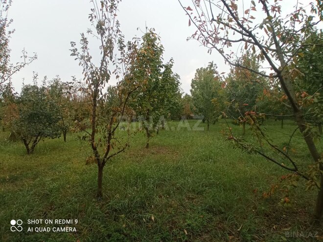 Продаётся  участок 8 сот, photo 7 from 11