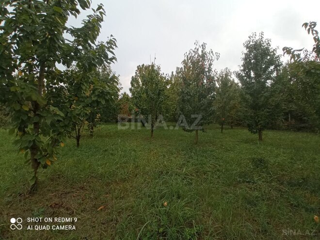 Продаётся  участок 8 сот, photo 9 from 11