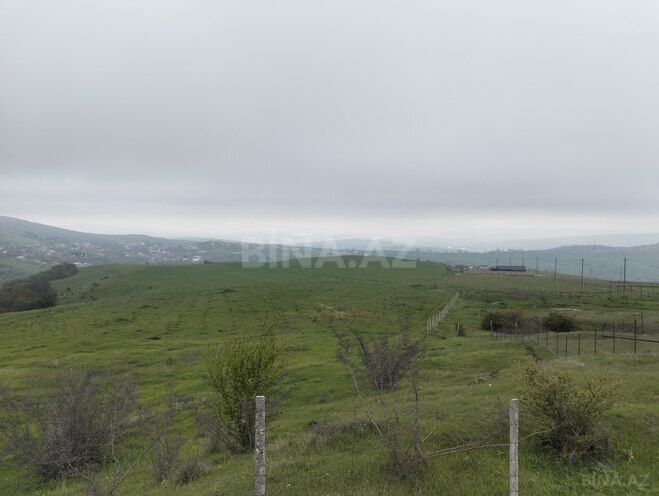 Продаётся  участок 200 сот, photo 5 from 22