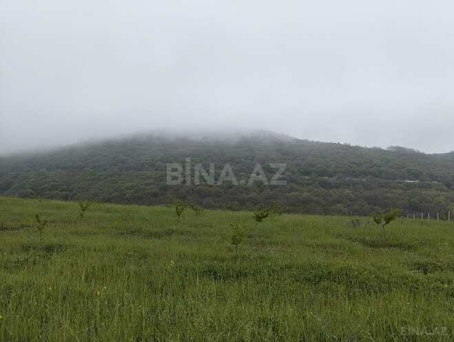 Продаётся  участок 200 сот, photo 8 from 22