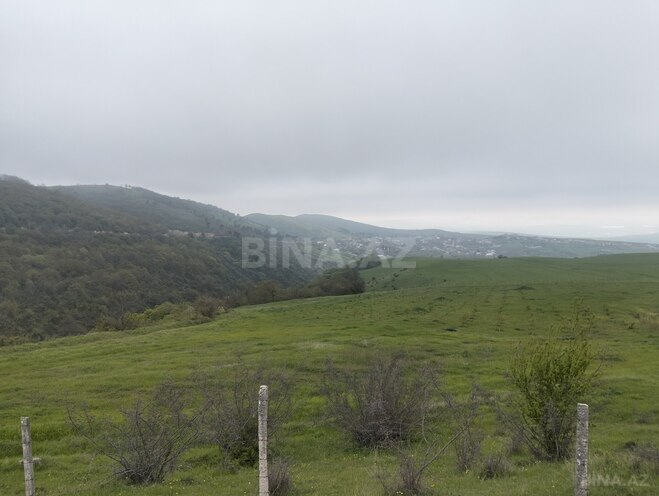 Продаётся  участок 200 сот, photo 4 from 22