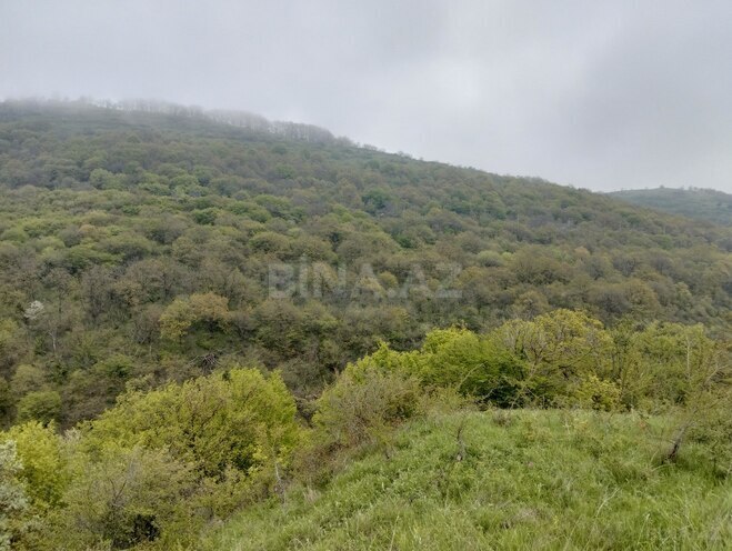 Продаётся  участок 200 сот, photo 14 from 22