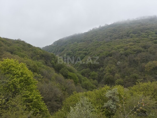 Продаётся  участок 200 сот, photo 15 from 22