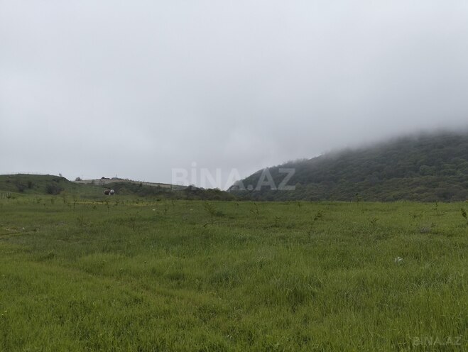 Продаётся  участок 200 сот, photo 19 from 22