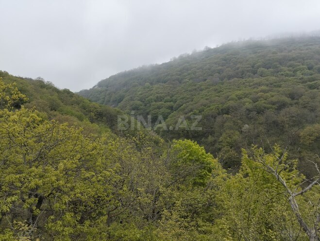 Продаётся  участок 200 сот, photo 16 from 22