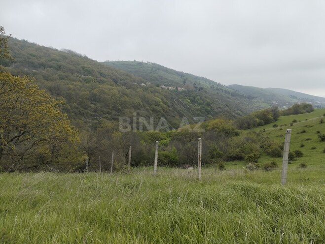 Продаётся  участок 200 сот, photo 11 from 22