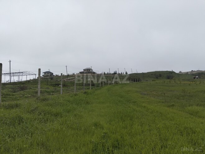 Продаётся  участок 200 сот, photo 18 from 22