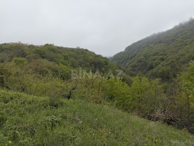 Продаётся  участок 200 сот, photo 13 from 22