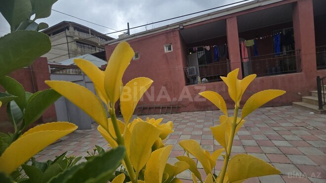 Продаётся 3-комн. дом/дача 135 м², photo 1 from 19