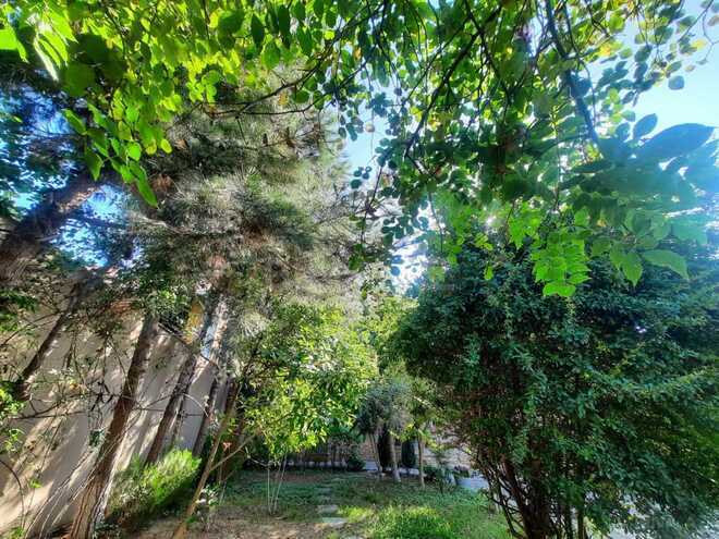 Сдаётся 4-комн. дом/дача 250 м², пос. Мардакан, photo 11 from 32
