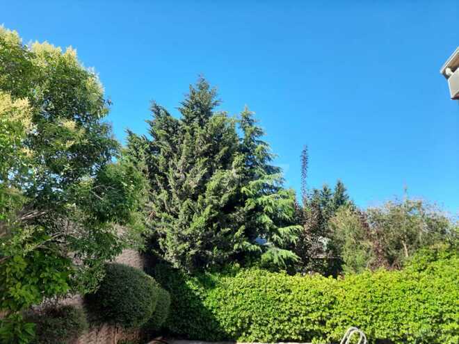 Сдаётся 4-комн. дом/дача 250 м², пос. Мардакан, photo 19 from 32