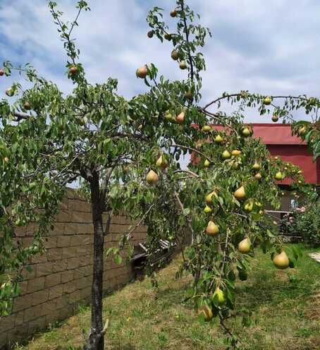Продаётся 4-комн. дом/дача 120 м², photo 7 from 29